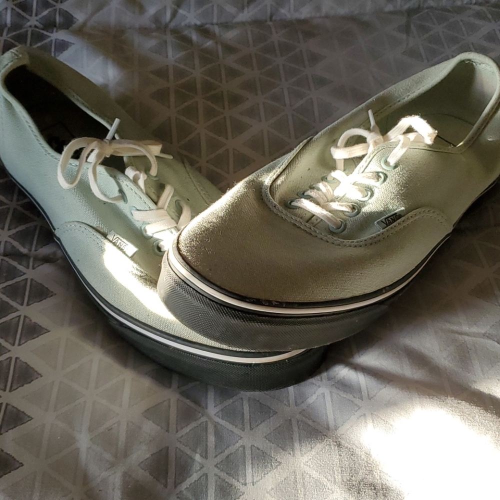 Mint vans